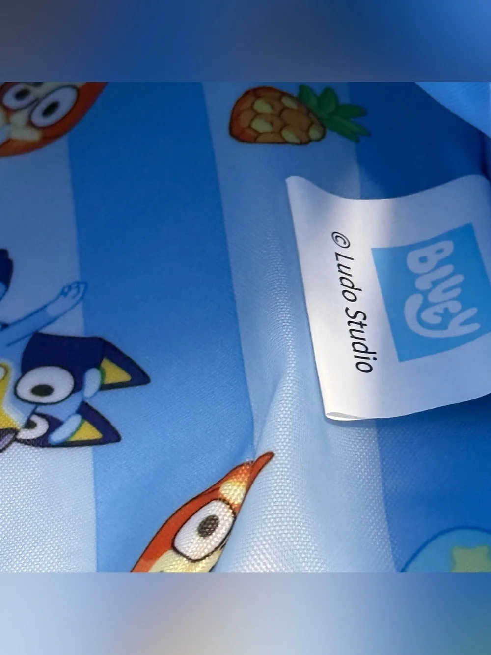 Bluey 17” Backpack Lunchbox 4 Piece Set